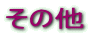 ���̑�